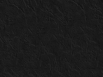 Black and White Bump 3d model
