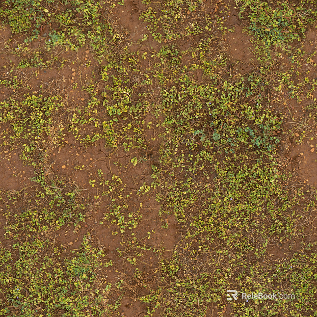 Turf ground texture