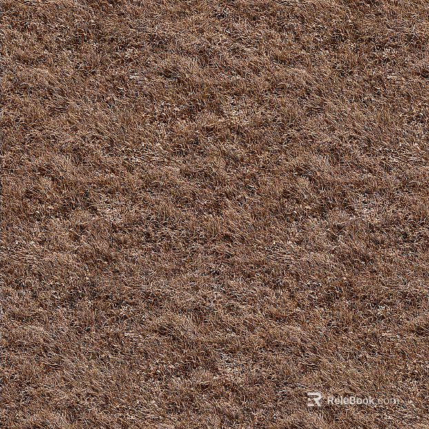 ground grassland mountain reed flowers and plants texture