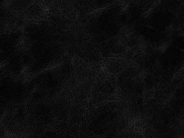 Coarse-grain leather 3d model