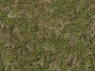 natural lawn texture (ID:ffaeh602274)