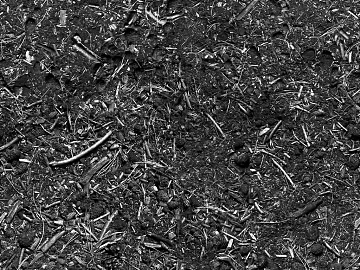 sawdust texture (ID:ffabg71839)