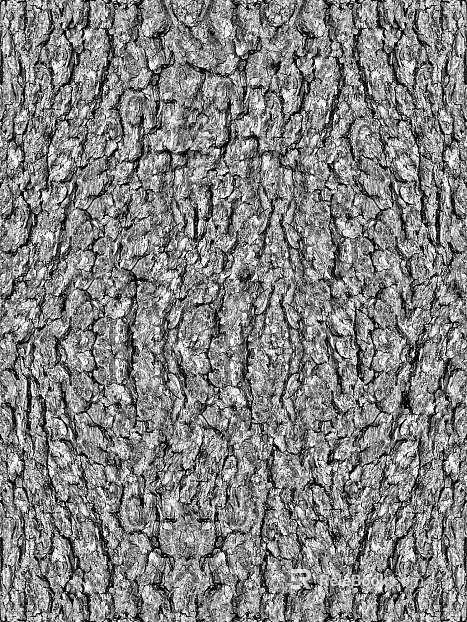 bark texture