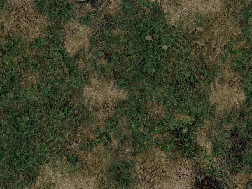 Turf texture (ID:ffagg40414)