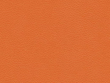 Coarse-grain leather texture (ID:ffaeg71577)