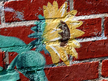 Graffiti texture (ID:ffaag97987)