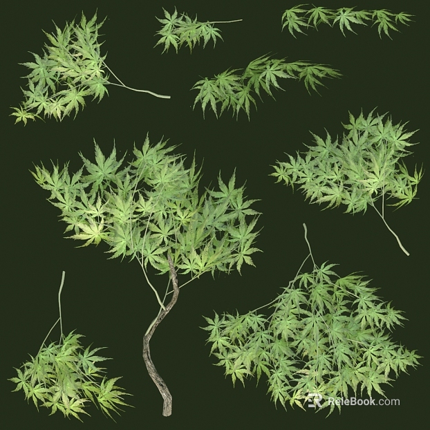 plant pattern texture