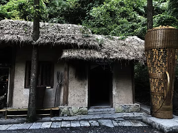 Wild Scenery texture (ID:ffabg16801)