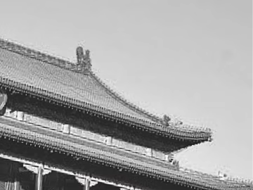 black and white painting texture (ID:ffaag96476)