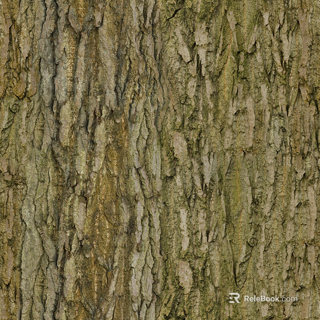 ancient tree bark texture
