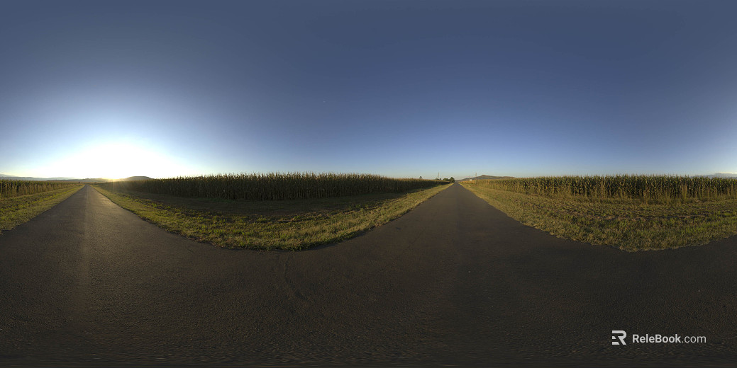 Field Road Sunrise HDR texture