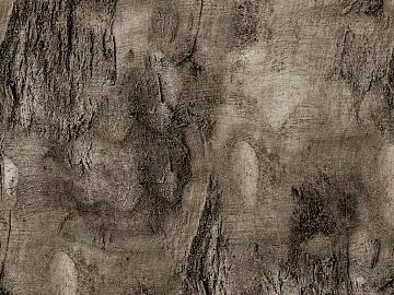 bark texture (ID:ffaag43850)