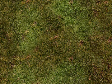 Turf texture (ID:ffabf7902)