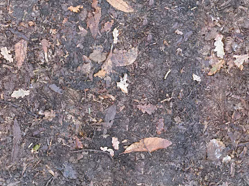 Soil texture (ID:ffach452336)