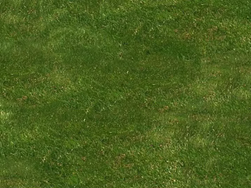 Turf texture (ID:ffacg99209)