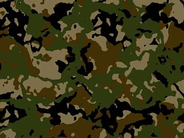Camouflage cloth pattern color pattern texture (ID:ffach054543)