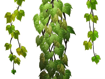 leaves texture (ID:ffacg47393)