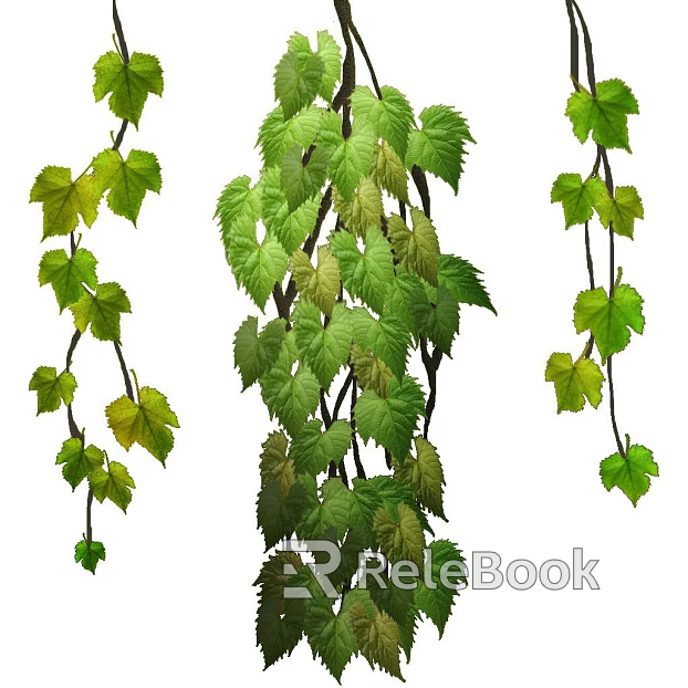 leaves texture
