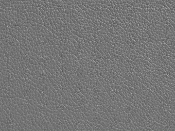 Coarse-grain leather 3d model
