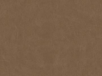 fine grain leather texture (ID:ffacg11381)