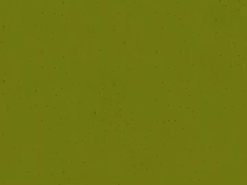 Bell emulsion paint texture (ID:ffaeg49279)