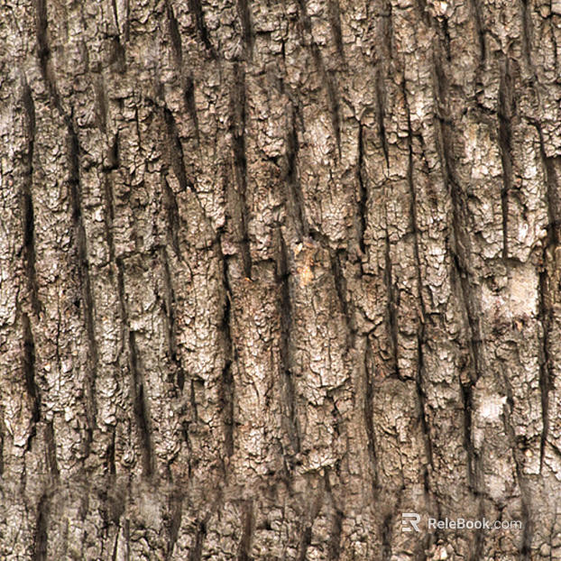 bark texture