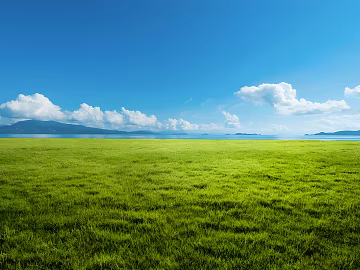 Wild Scenery texture (ID:ffach504710)