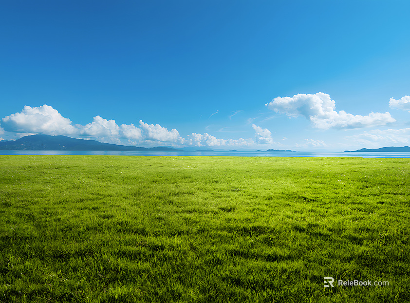 Wild Scenery texture