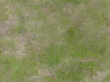 Turf texture (ID:ffach132030)