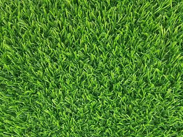 Turf texture (ID:ffabg18906)
