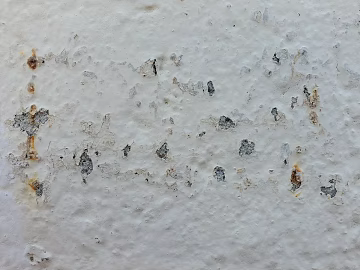 Mud texture (ID:ffaag10787)