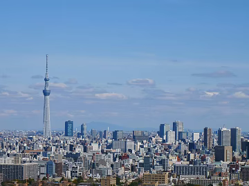 Daytime Urban Architecture texture (ID:ffach026506)