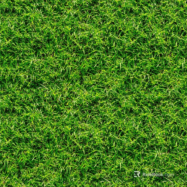 Outdoor grassy lawn surface texture
