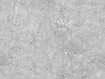 Black and White Bump texture (ID:ffaag46739)