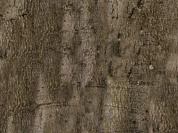 bark texture (ID:ffaff8592)