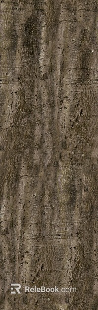 bark texture