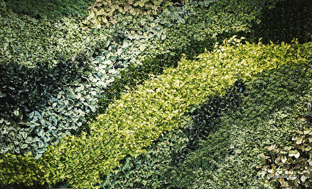 Plants texture