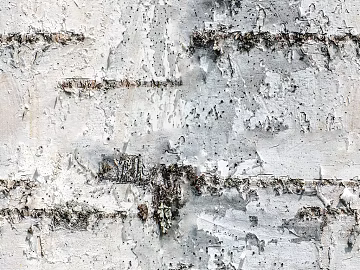 Silver birch bark wall decoration 3d model