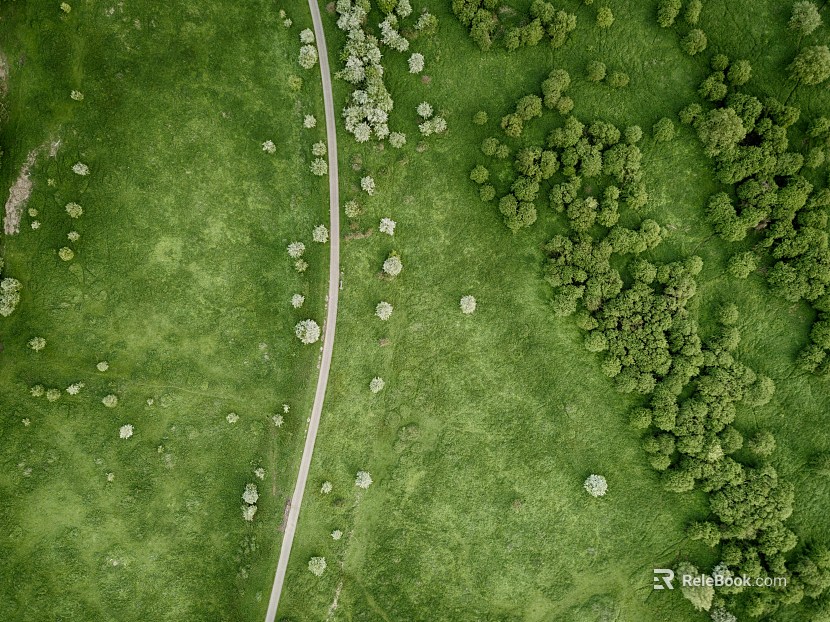 Grassland Natural Scenery texture
