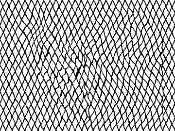 geometric line texture (ID:ffaag76931)