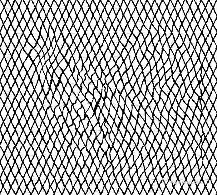 geometric line texture