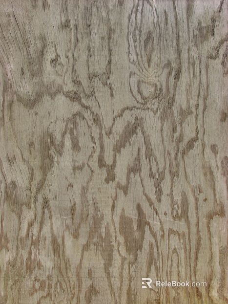 Wood grain texture