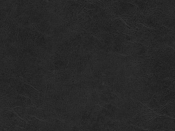 Coarse-grain leather 3d model