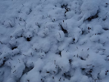 Snow 3d model