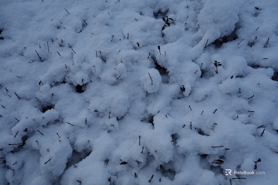 Snow texture