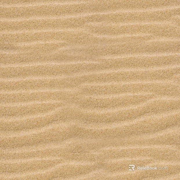 Sand Desert Beach Beach texture