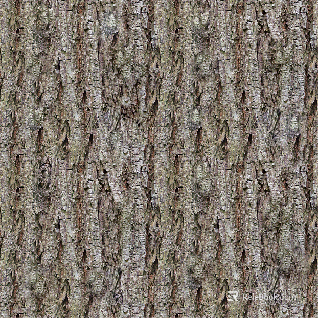 bark texture