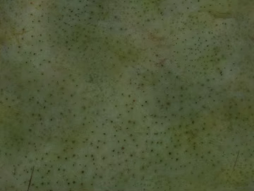 Do the old metal texture (ID:ffajf3645)