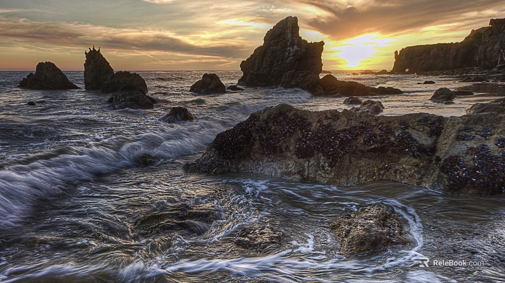 Wild Scenery texture