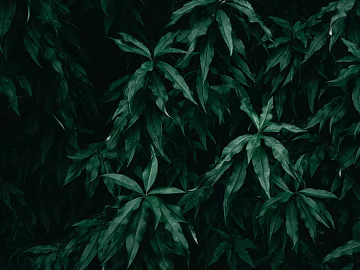 plant pattern texture (ID:ffagg27355)